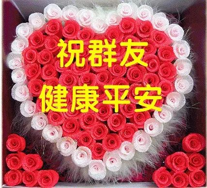 有很多苦难的经历,回想整个2017年,亲爱的群友们大家好!