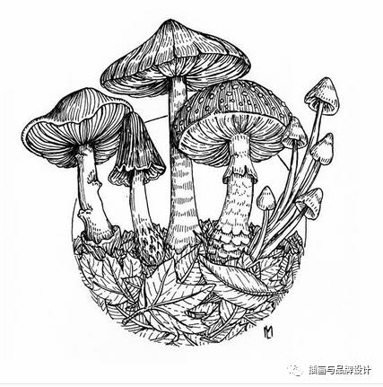 插画丨每天30分钟,画一个黑白动物世界,寥寥几笔妙趣横生