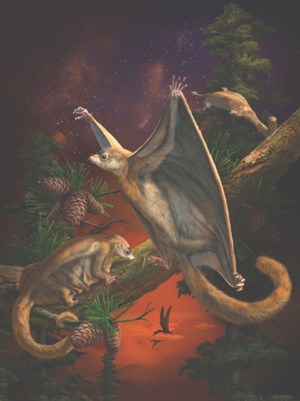 2017年中国古生物学十大进展在宁发布 快来看看都有啥|古生物学|古