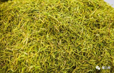 流感高发!山东省卫计委权威发布抗流感中药处