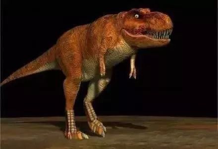 假如动物没有脖子,第一张就笑喷了哈哈哈!