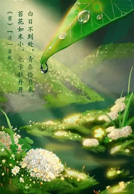 “苔花如米小，也学牡丹开” 沉寂了300年的诗句因何一夜爆红?