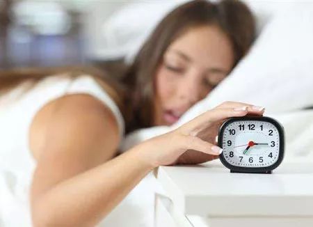 冷知识大讲堂丨鲨鱼撞船,竟然只是为了挠痒?