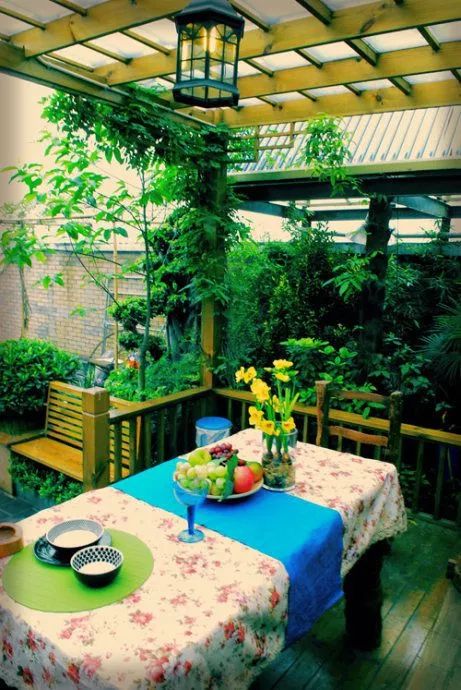 我想有个院子,繁花爬满篱笆