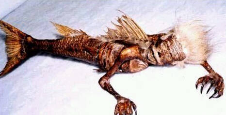 金字塔|舍利|所罗门_新浪网