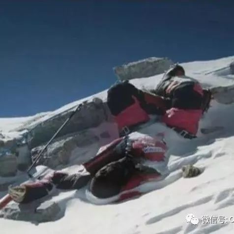 橄榄球队员被困雪山，靠吃遇难同伴尸体存活72天，后被救援队发现|智利|乌拉圭|阿根廷_新浪新闻