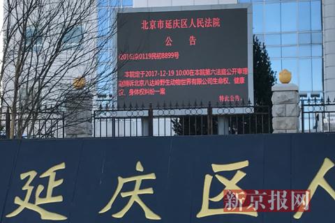 八达岭老虎伤人案原告索赔218万 法院将择日宣判
