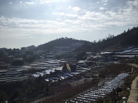 武隆区白云乡:忽如一夜春风来 千树万树"雪"花飘