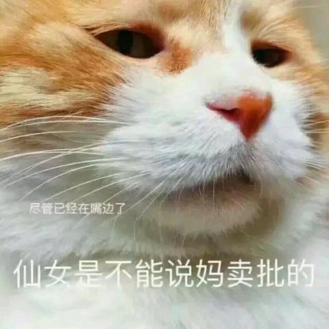 喵咪表情包:我这么可爱还要拿我当表情包|表情包|可爱|仙女_新浪新闻