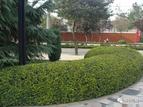 巨变!2018年邢台各区的规划出炉.