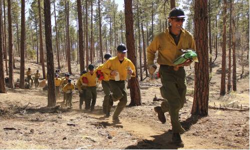 评分8.2,这部真实故事改编的大片竟看哭无数直男