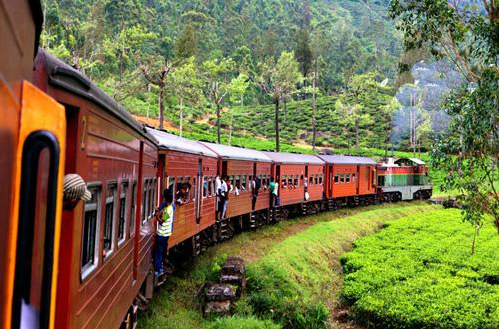 中国使馆提醒游客在斯里兰卡乘火车注意安全|斯里兰卡|火车|使馆_新浪