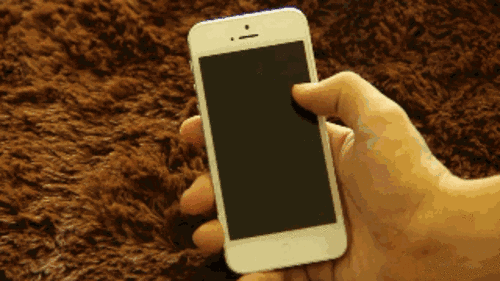 500_281gif 动态图 动图