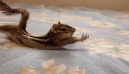 下周全岛最低气温8°c,还要下雨…秋裤正在召唤你!