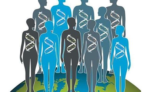 基因组:人类的公共财富,拒绝商业化|财富|基因组|基因_新浪网