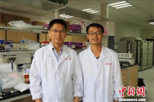 资料图：李红良教授（左）和王志华教授（右） 杜巍巍 摄