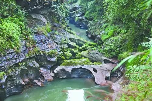 重庆大学教授野外考察发现绝美"龙吟雕岩谷" 位于江津近两千米长