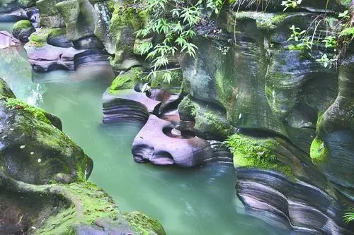 重庆大学教授野外考察发现绝美"龙吟雕岩谷" 位于江津近两千米长