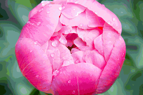 今日五九,开心久久,送上祝福,平安久久!放到群里,幸福久久!