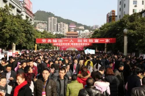 西和县人才市场动态与发展趋势