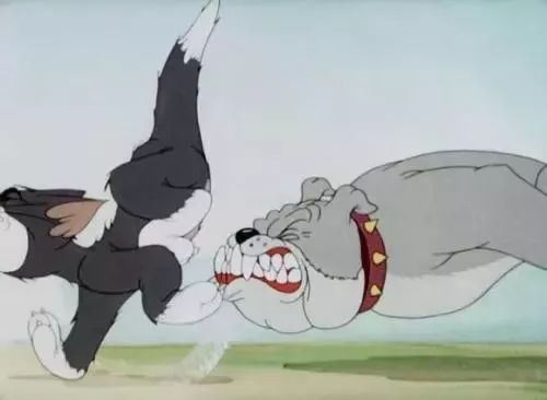 《猫和老鼠》里经常欺负汤姆猫的那只狗狗,它的名字就是斯派克,而泰克