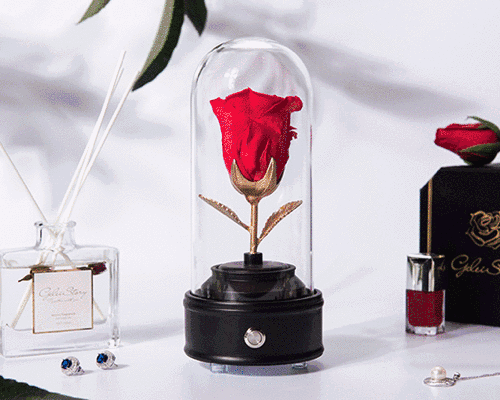 除了玫瑰珠宝礼盒,还有永生花蓝牙音乐盒,框画,香氛等产品.