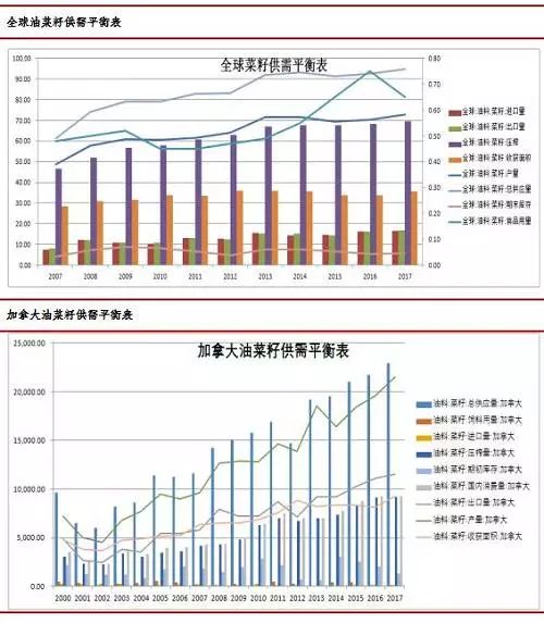 高产油菜品种引领现代农业发展