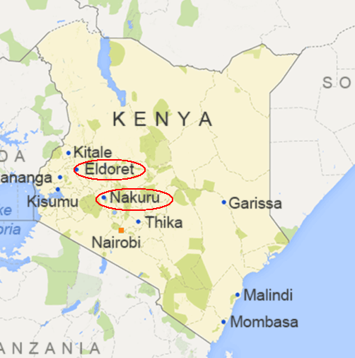 肯尼亚交通事故造成至少36人死其中一车刹车疑似失灵