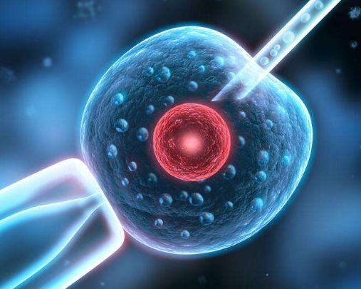 这里还涉及到一个隐私问题,林伟患有无精症,孩子是当时在林的同意下