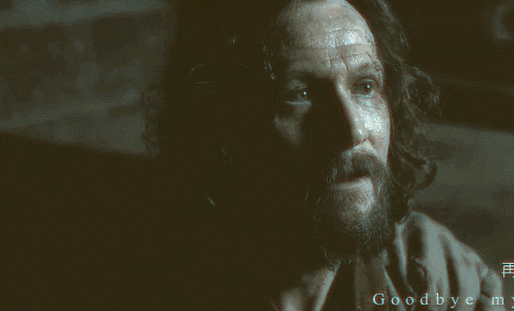 小天狼星,奥斯卡最璀璨的那颗