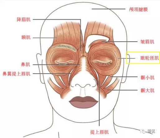 张雨绮新脸比马脸还长,眼角开到山根是多想不开?