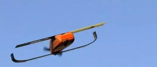 鸟类的栖息环境特点 鸟类如何适应不同生存环境