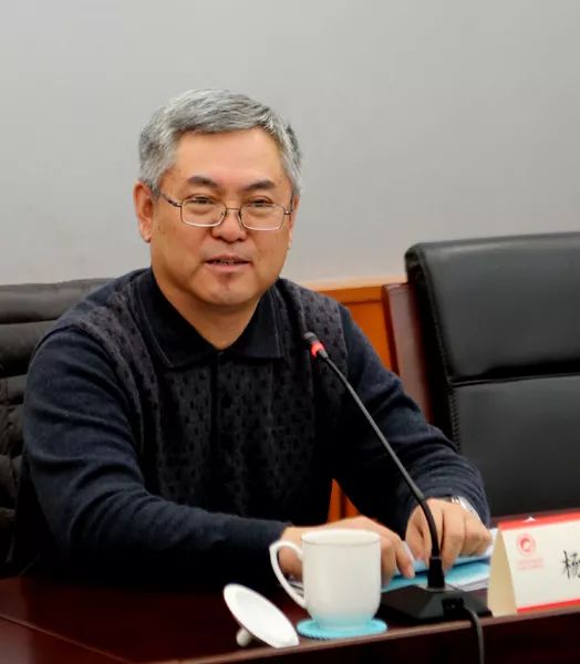 杨立新谈民法总则:见证百年一遇法典时刻,甚幸!