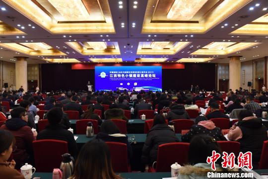 中国新型工业化与城镇化发展论坛第三届年会12月20日在江西省南昌市开幕。 王剑 摄