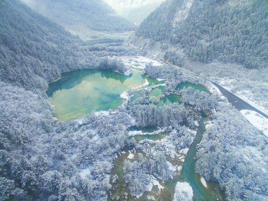 俯瞰春雪下的九寨沟景区树正群海(3月8日无人机拍摄).