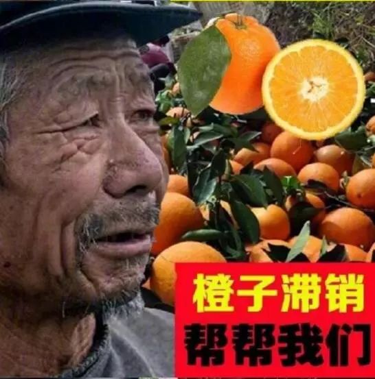 大爷卖什么,什么就滞销
