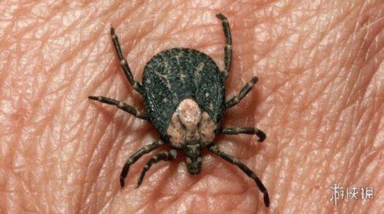 与危重患者有密切接触,直接接触病人血液等体液的医务人员或其陪护者