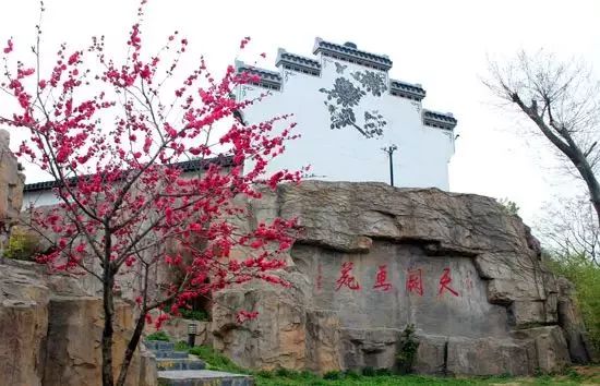 沿247省道一路向南往六合瓜埠镇,玉带镇,龙袍镇,越往里,越壮观.