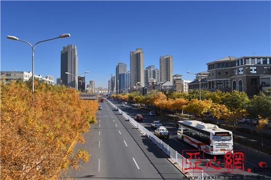 新疆库尔勒市冬景似秋日