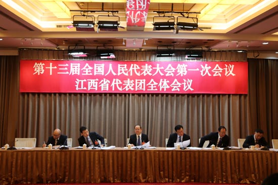 江西代表团:打好脱贫攻坚战