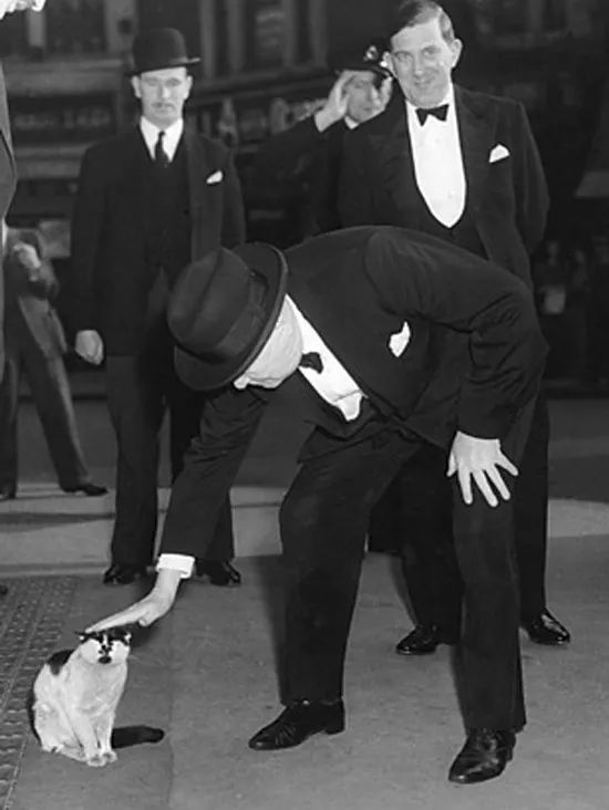 如果上个世纪就有微博,那么丘吉尔绝对是爱猫大v之一.