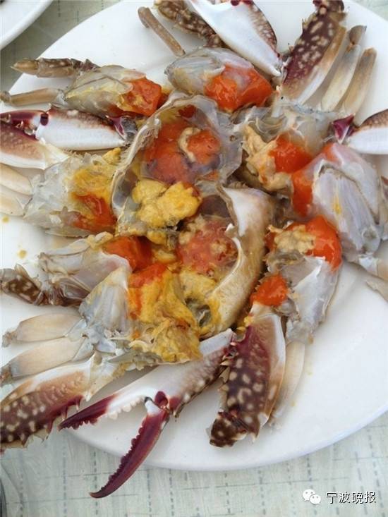 一年中最好的红膏蟹上市啦再奉上宁波人做红膏炝蟹的珍藏秘方