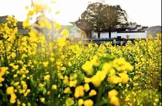 鼓掌!云南这8个地方将成全球投资机构关注焦点