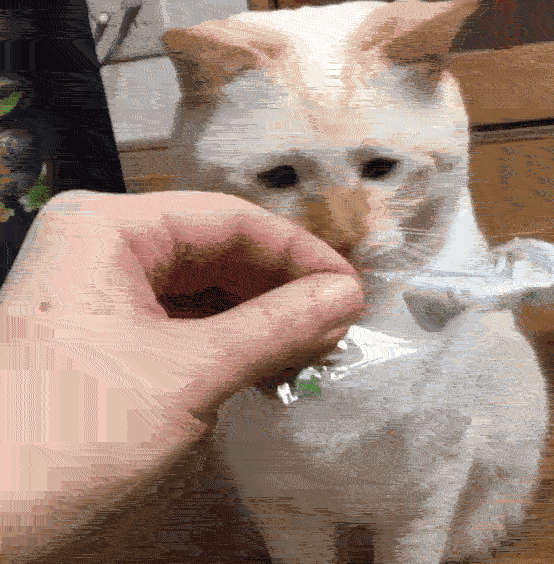 不听不听王八念经