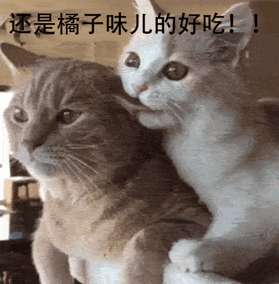 不听不听王八念经