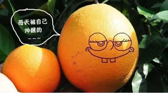 送走了爱媛38号,还有它!脐橙飘香的季节,还怕没
