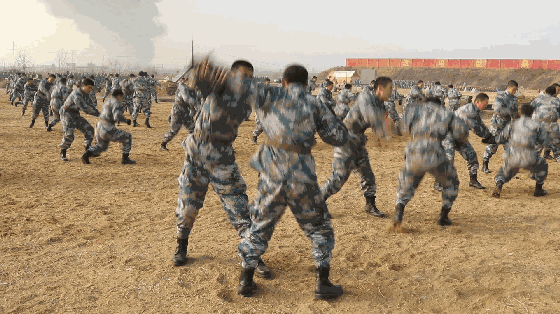 560_314gif 动态图 动图