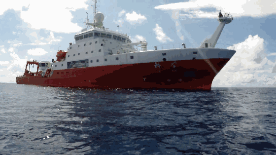 560_314gif 动态图 动图