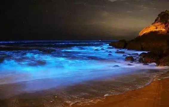 美cry深圳西涌惊现会发光的海宛如天际星河