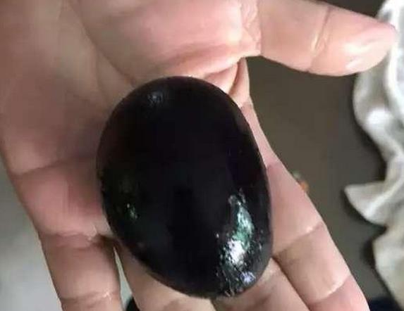 鸭子肚子里弄出一颗黑色的蛋 原因成迷|鸭蛋|鸭子|里弄_新浪新闻